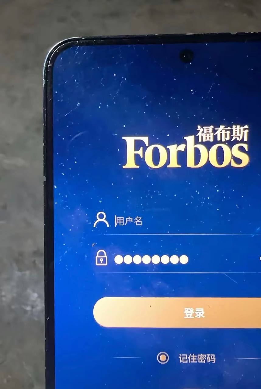 福布斯游戏画面11